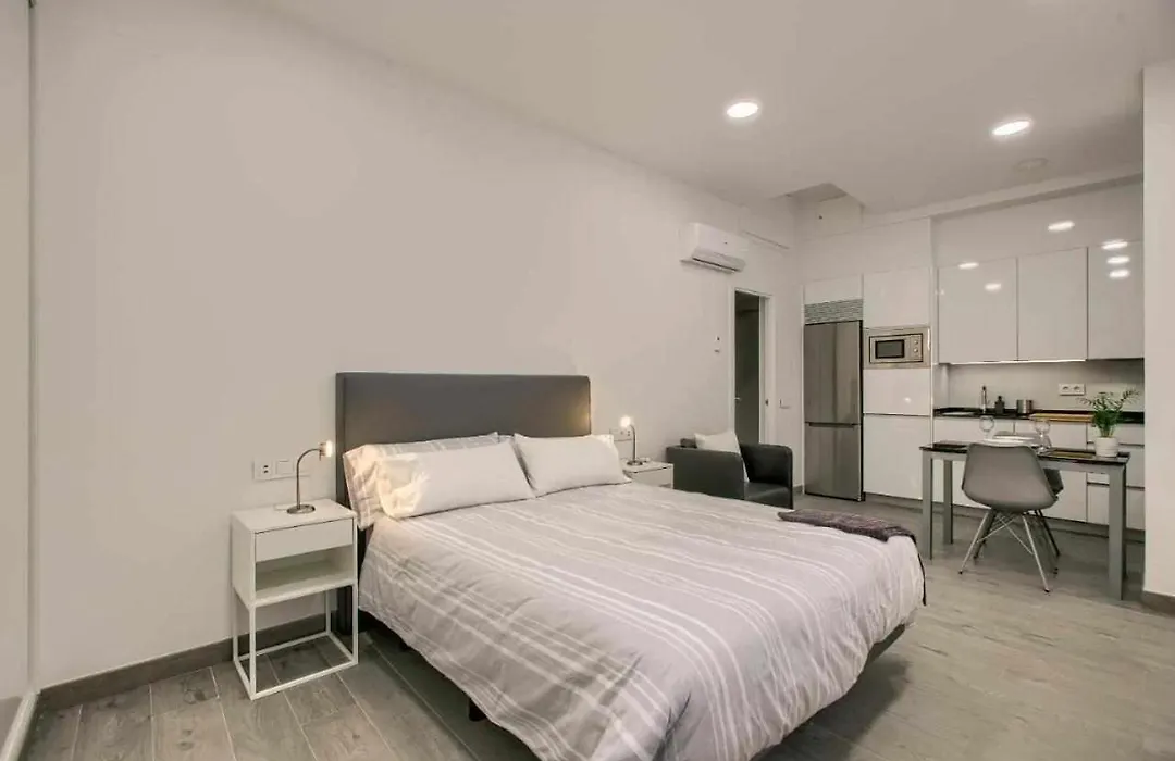 RiNa MADRID apartamento1-1